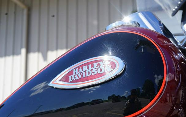 2002 Harley-Davidson FLSTS - Heritage Springer Softail