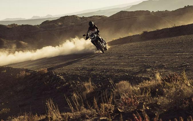 2025 Triumph Tiger 900 Rally Pro
