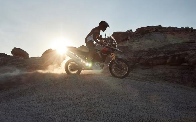 2025 Triumph Tiger 900 Rally Pro