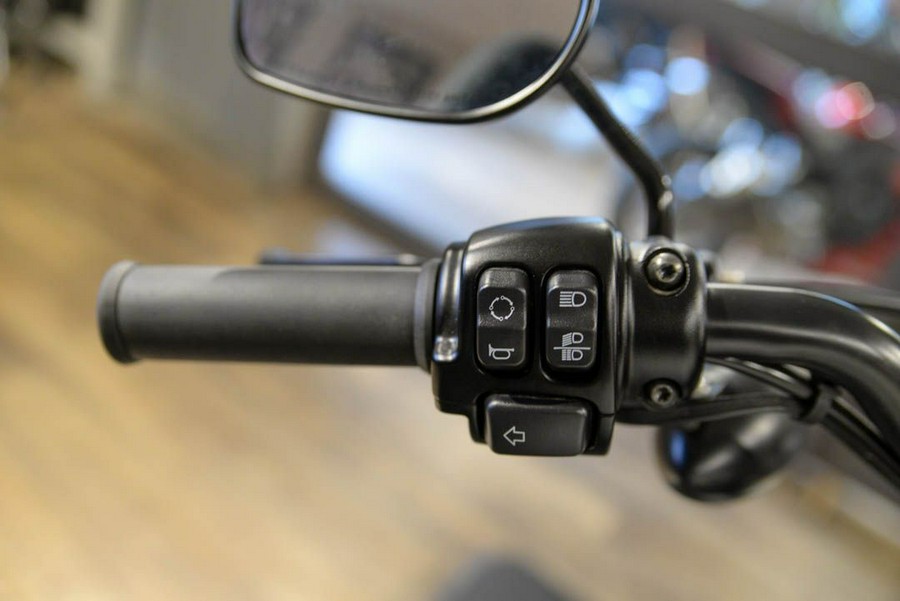 2022 Harley-Davidson Iron 883™