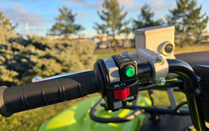 2026 Yamaha Grizzly EPS