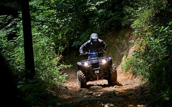 2022 Yamaha Kodiak 450 EPS SE