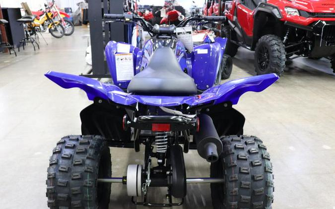 2024 Yamaha Raptor 110