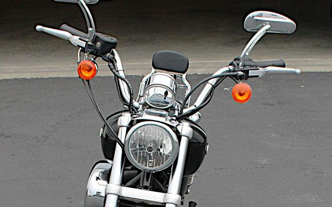 2006 Harley-Davidson Sportster® 1200 Low