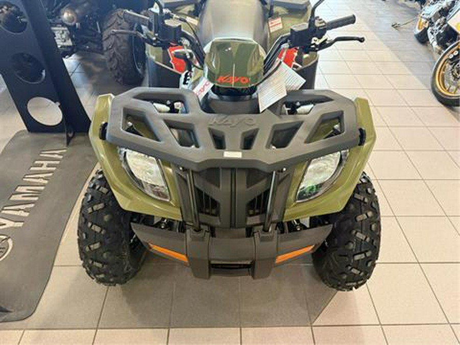 2025 Kayo Bull 300 EFI