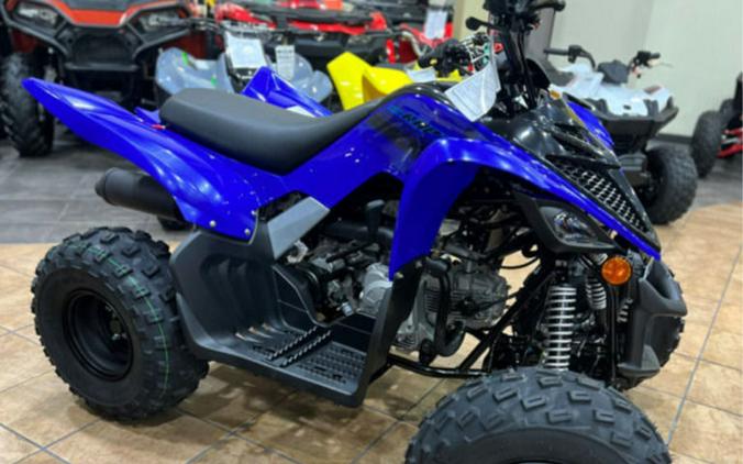 2024 Yamaha Raptor 110