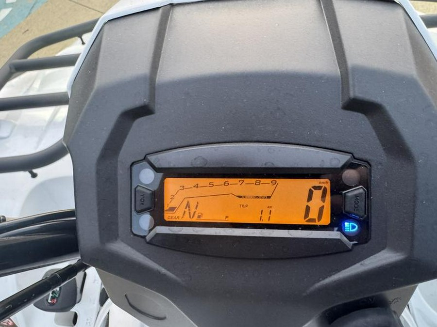 2025 Kawasaki Brute Force® 450 4x4