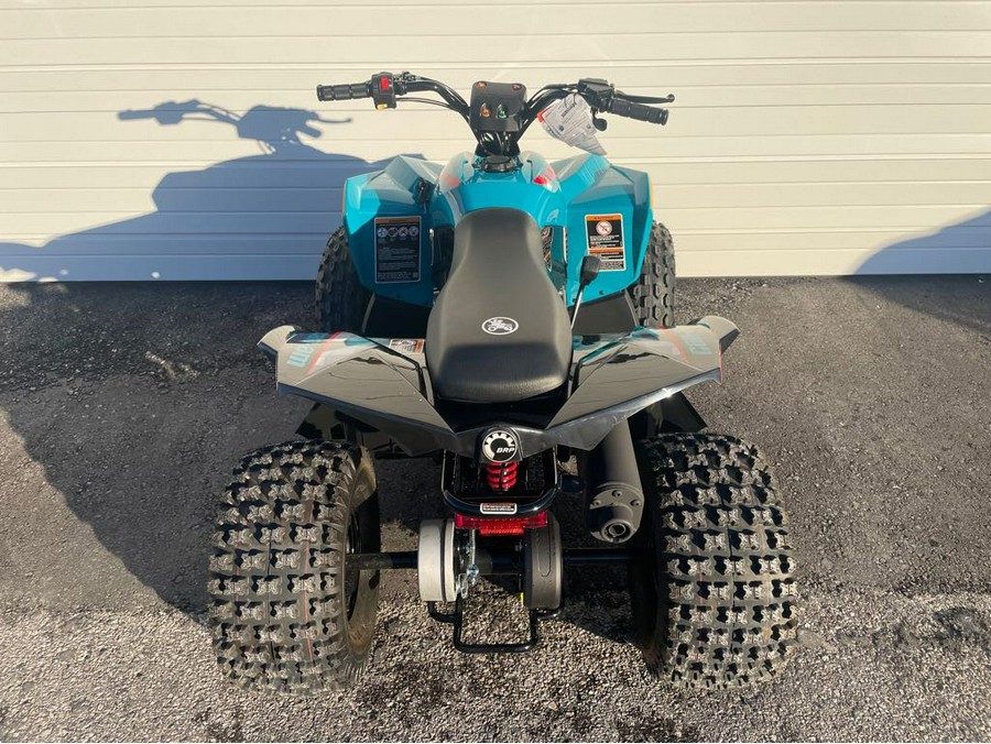 2024 Can-Am Renegade 110 EFI Gray & Yellow / Blue & Black