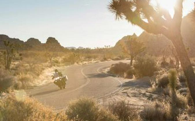 2017 Triumph Tiger Explorer XRx Low