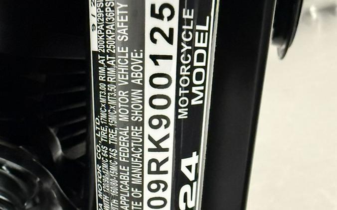2024 Honda VT750C SHADOW AERO
