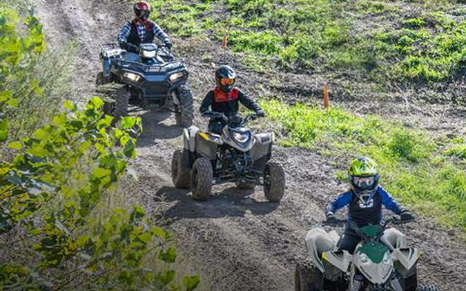 2025 Polaris Phoenix 200