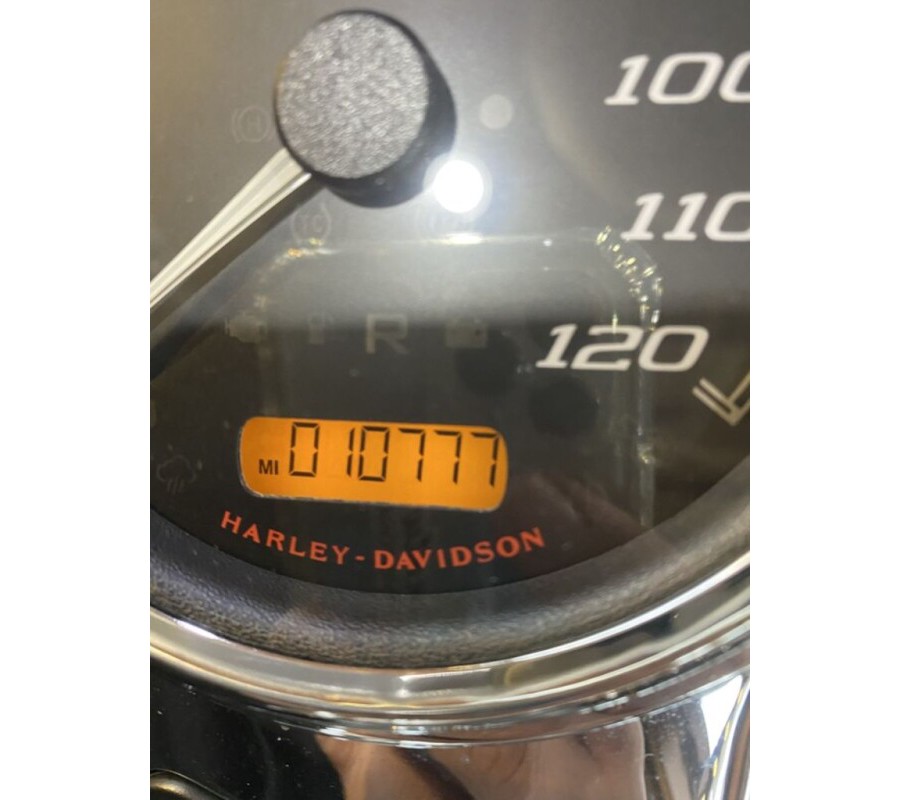 2022 Harley-Davidson Freewheeler