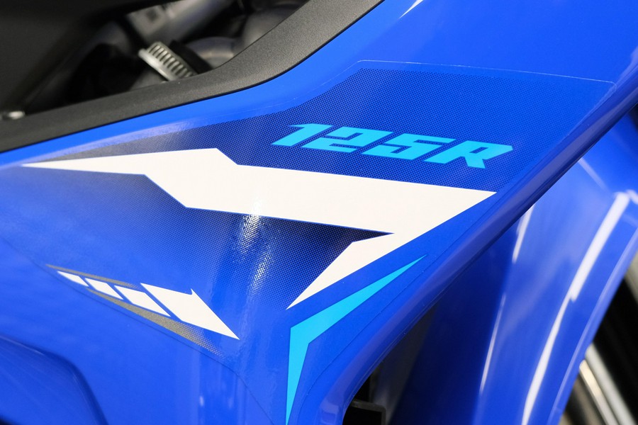 2026 YAMAHA WR125R