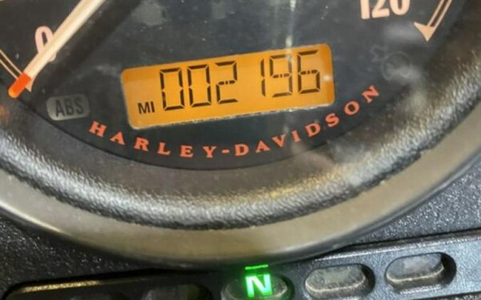 2020 Harley-Davidson Iron 883 XL 883N