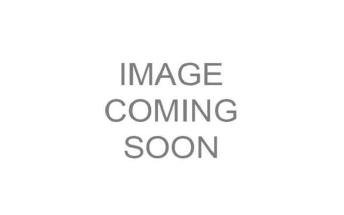 2017 Harley-Davidson® XG500 - Street® 500