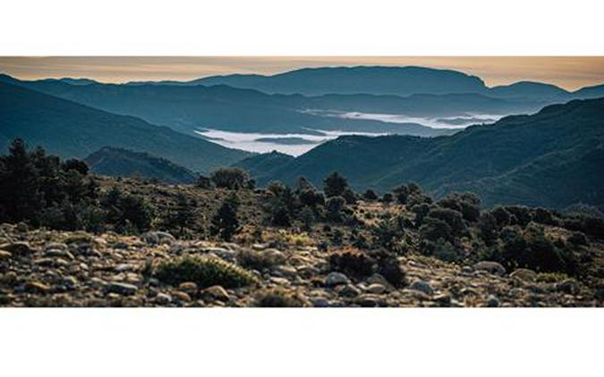 2026 KTM 390 Adventure X