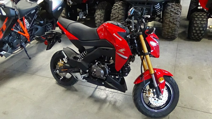 2023 Kawasaki Z125 Pro