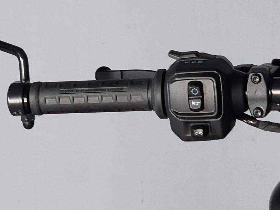 2025 Harley-Davidson® Nightster™ RH975 BILLIARD GRAY