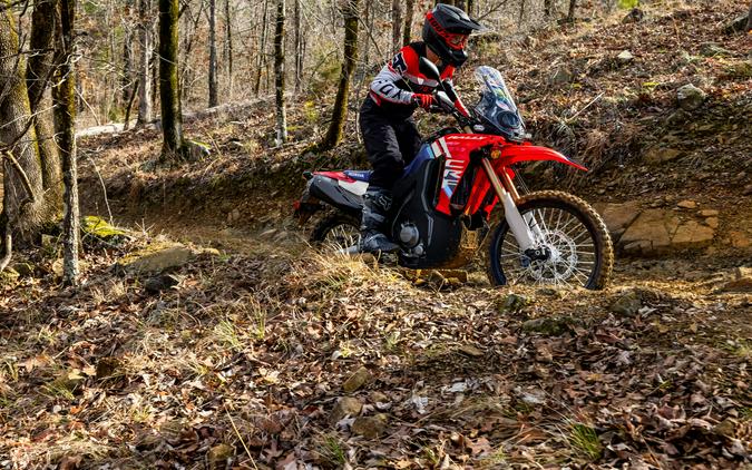 2026 Honda CRF300L Rally ABS