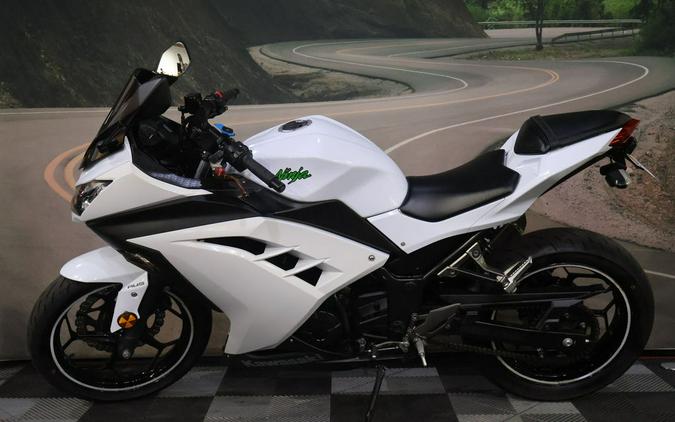 2015 Kawasaki Ninja® 300 ABS