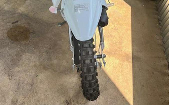 2026 Kawasaki KLX 110R WHITE