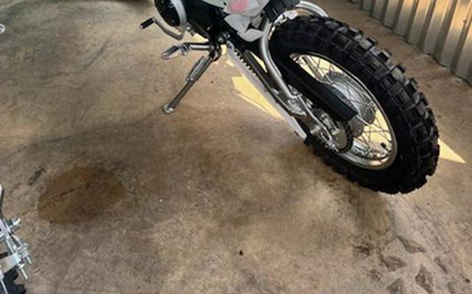 2026 Kawasaki KLX 110R WHITE