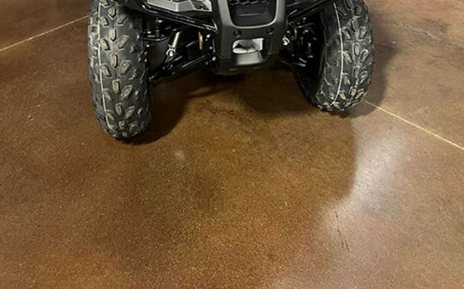 2024 Honda® Fourtrax Recon ES