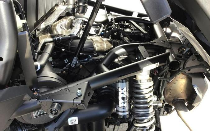 2025 Polaris® XPedition XP NorthStar