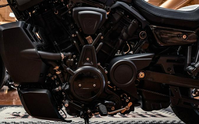 2026 Harley-Davidson Sportster Nightster Special