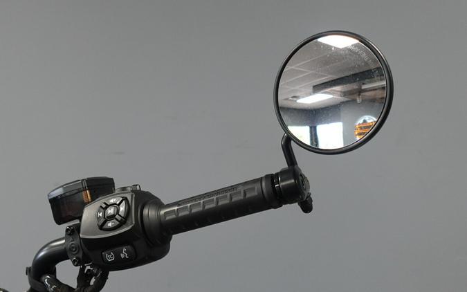 2023 Harley-Davidson Nightster Special RH975S
