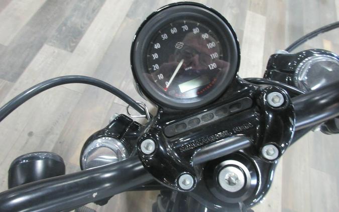 2020 HARLEY SPORTSTER FORTY-EIGHT