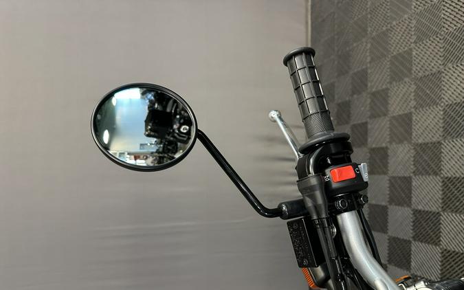 2027 YAMAHA TW 200 GALLANT GRAY