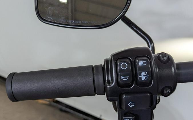 2024 Harley-Davidson® Low Rider® S Billiard Gray