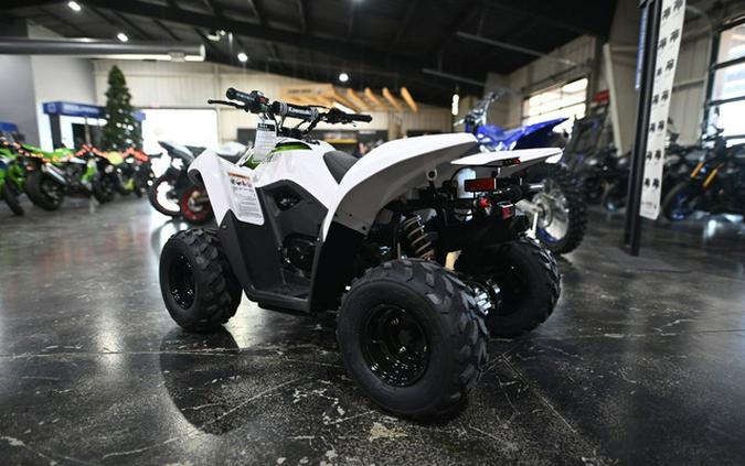 2026 Kawasaki KFX 50