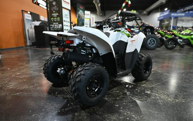 2026 Kawasaki KFX 50