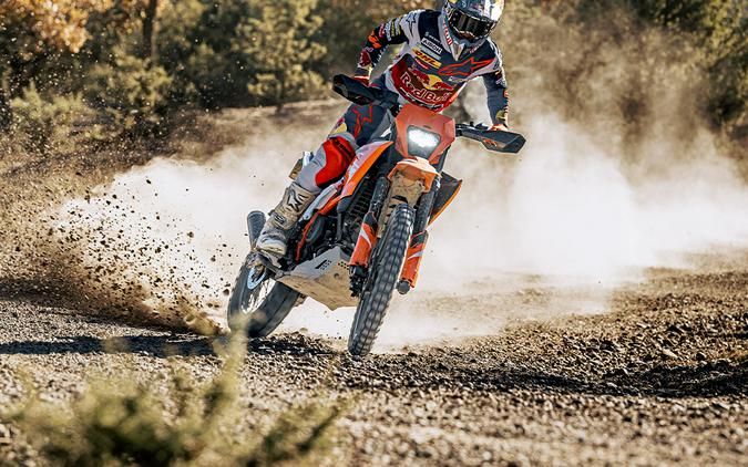 2025 KTM 390 Enduro R