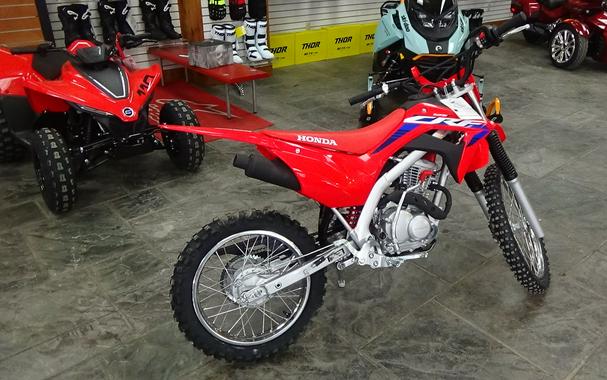 2024 Honda CRF125F - Big Wheel