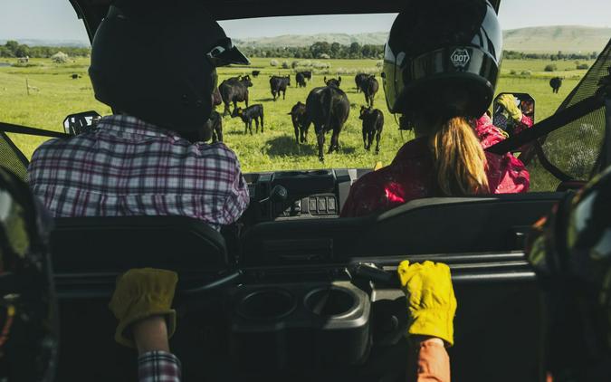 2026 CFMOTO UFORCE 800 XL