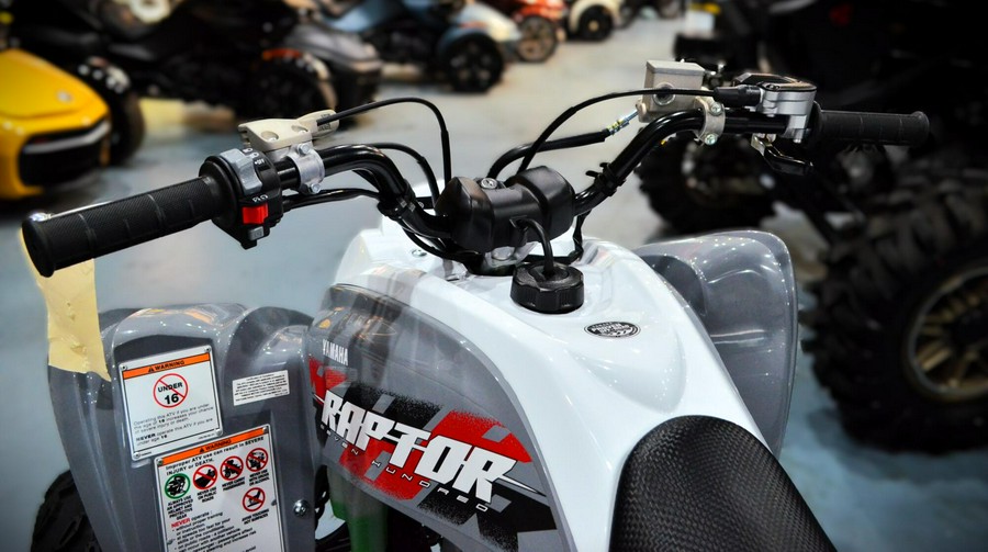2026 Yamaha Raptor 700 Armor Grey