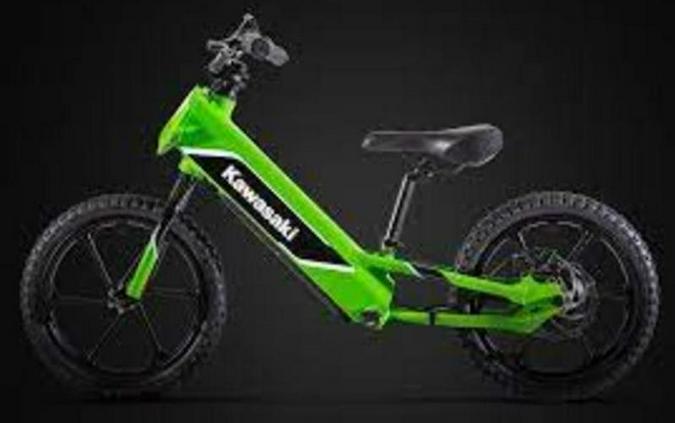 2023 Kawasaki Elektrode First Look [8 Fast Facts + 33 Electrifying Photos]