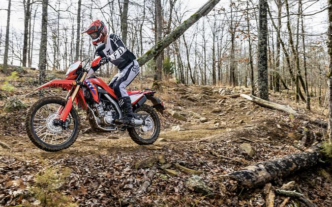2025 Honda CRF300L ABS