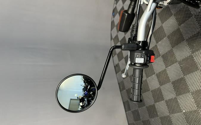2027 YAMAHA TW 200 GALLANT GRAY