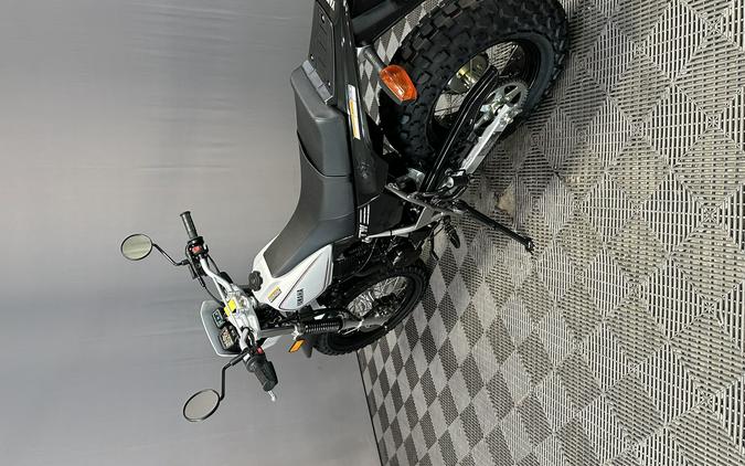 2027 YAMAHA TW 200 GALLANT GRAY