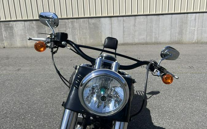 2014 Harley-Davidson® FLS103