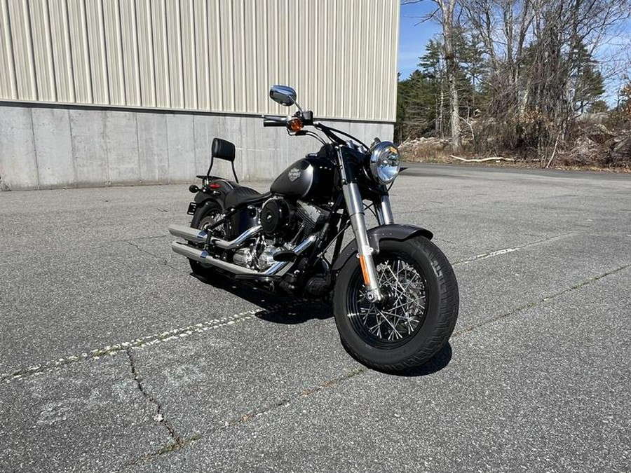 2014 Harley-Davidson® FLS103