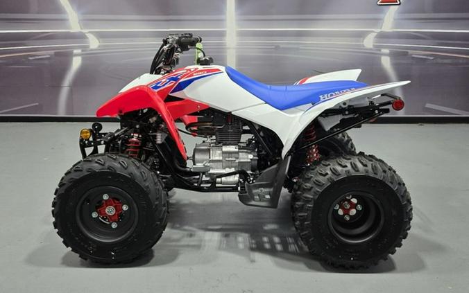 2026 Honda TRX® 250X