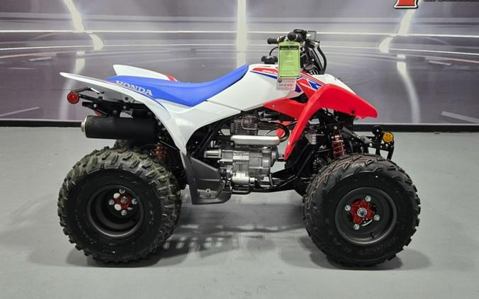 2026 Honda TRX® 250X