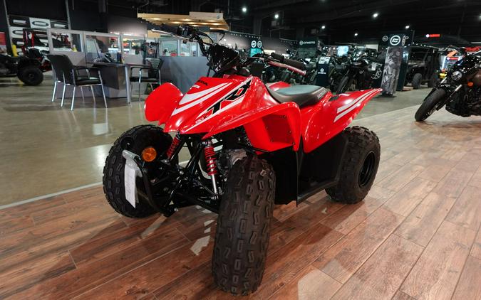 2026 Honda TRX90X