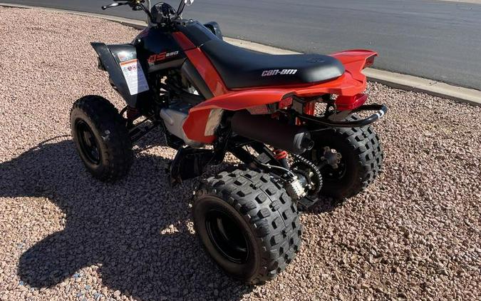 2026 Can-Am® DS 250