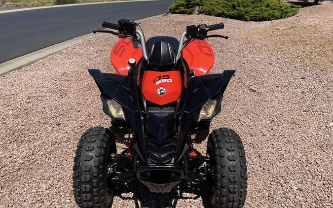 2026 Can-Am® DS 250